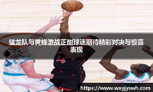K1体育猛龙队与黄蜂激战正酣球迷期待精彩对决与惊喜表现